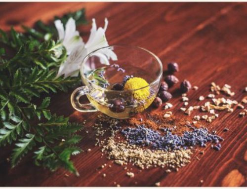 Herbs To Help Boost the Thyroid and Overall Glandular Health